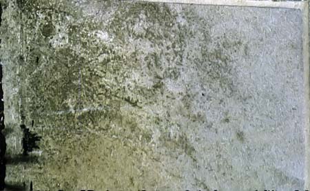 Stone block moss